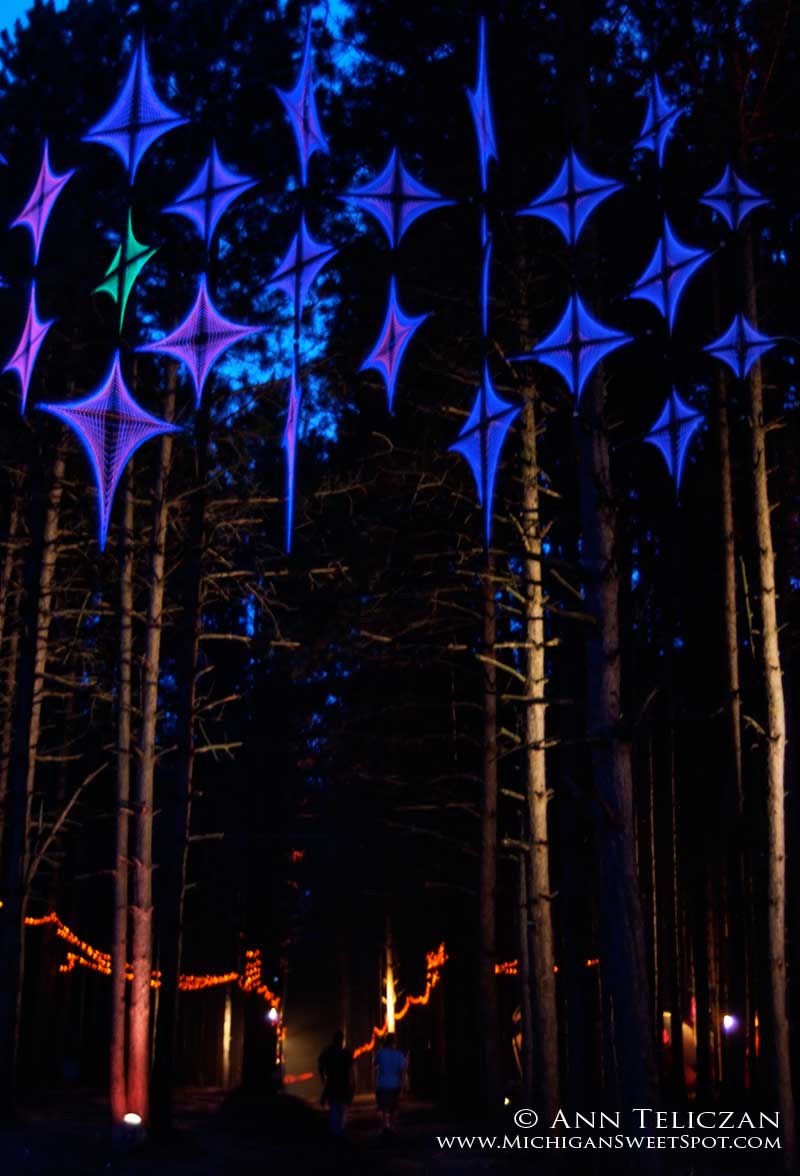 Rothbury Music Festival Sherwood Forest at Night