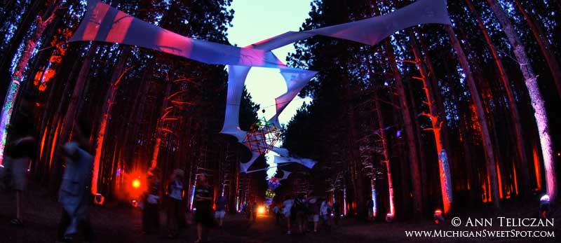 Rothbury's Music Festival Sherwood Forest at Night